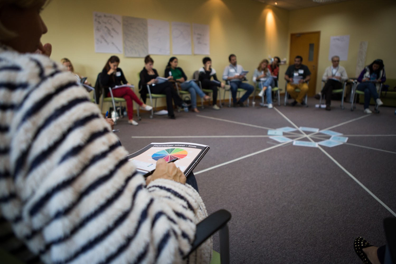 coaches training institute